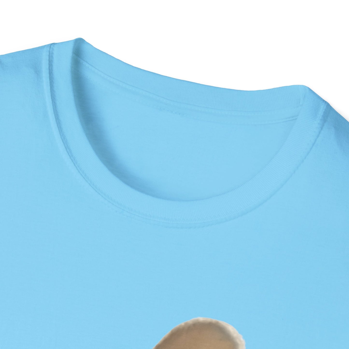 Heard you were 🏳️‍🌈- Cute Feline Graphic Unisex Softstyle T-Shirt – Perfect for Cat Lovers
