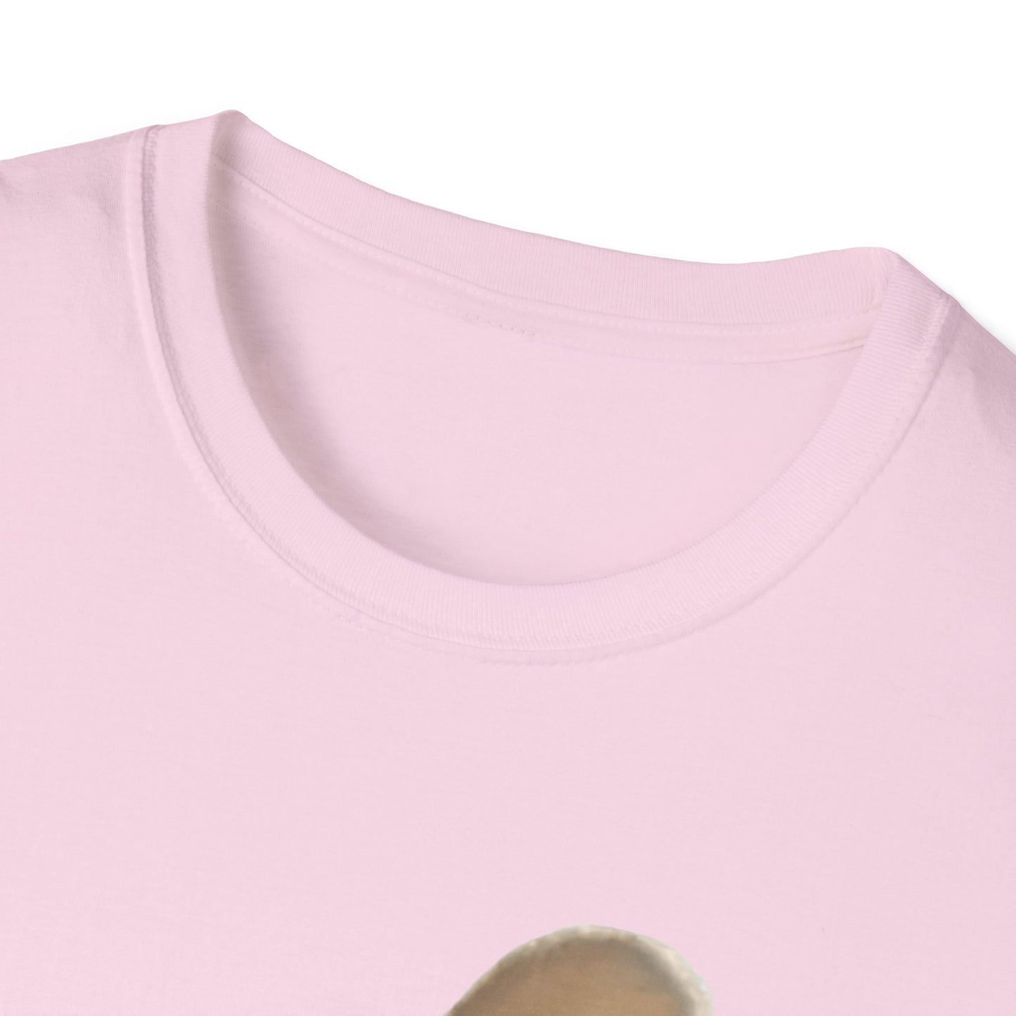 Heard you were 🏳️‍🌈- Cute Feline Graphic Unisex Softstyle T-Shirt – Perfect for Cat Lovers