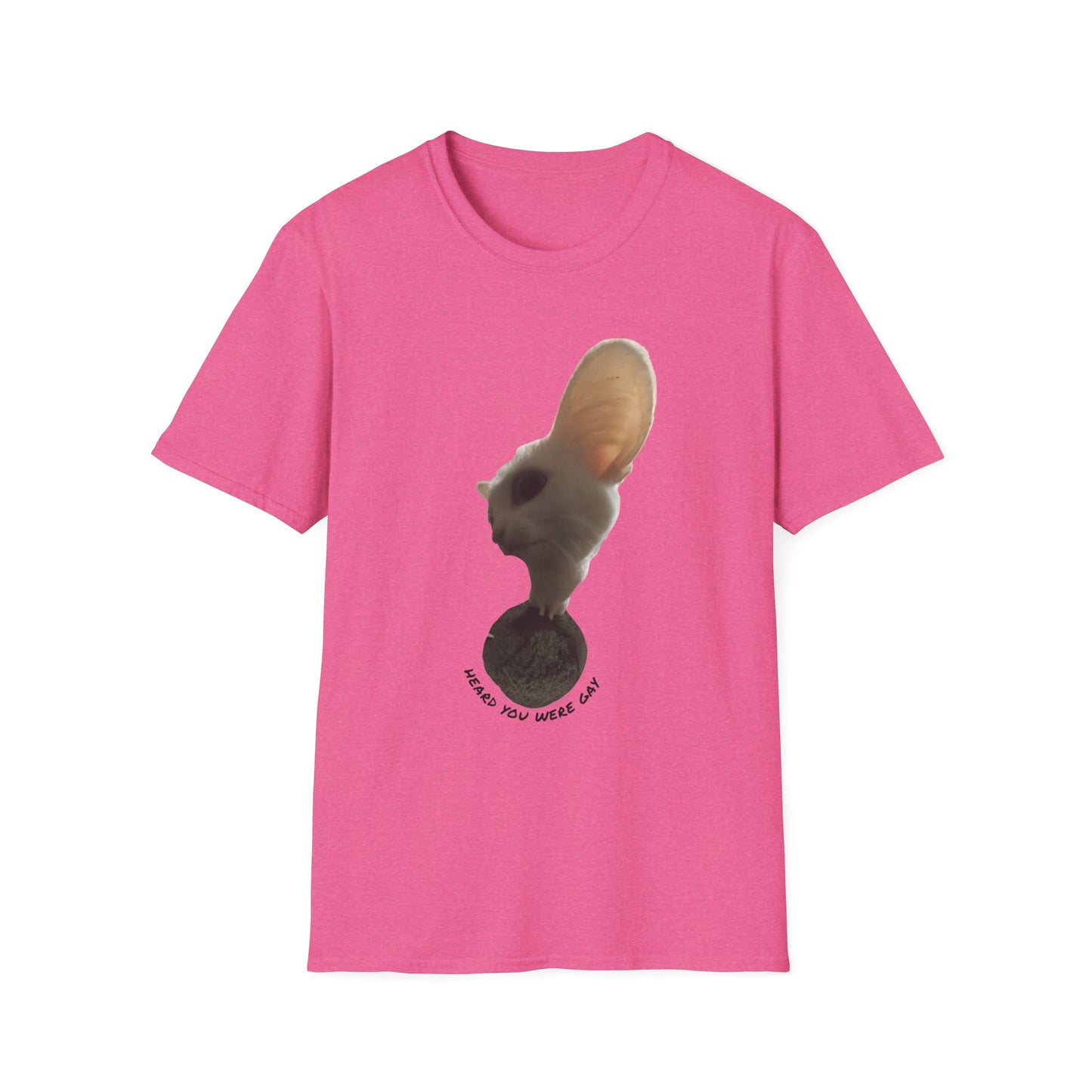 Heard you were 🏳️‍🌈- Cute Feline Graphic Unisex Softstyle T-Shirt – Perfect for Cat Lovers