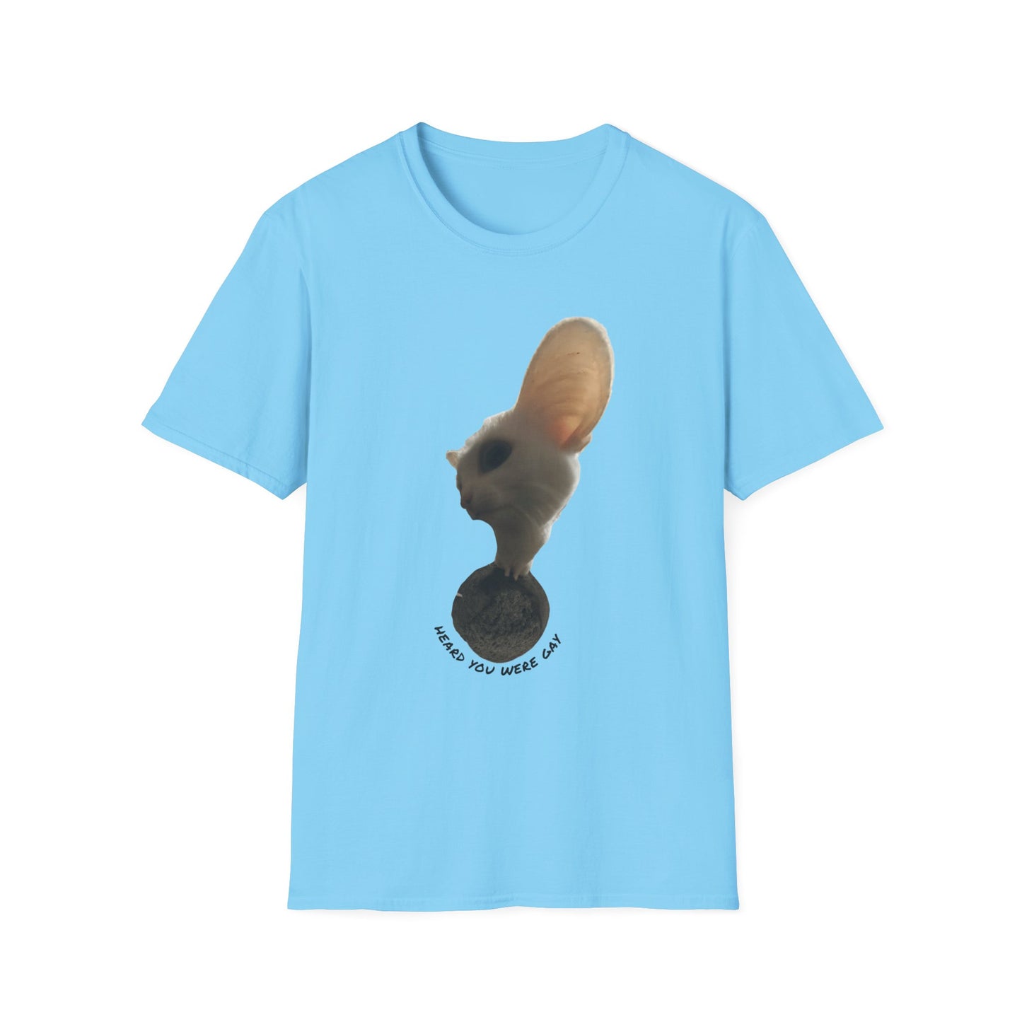 Heard you were 🏳️‍🌈- Cute Feline Graphic Unisex Softstyle T-Shirt – Perfect for Cat Lovers