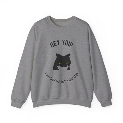 Funny Cat Crewneck Sweatshirt - 'Hey You! I Know What You Did'