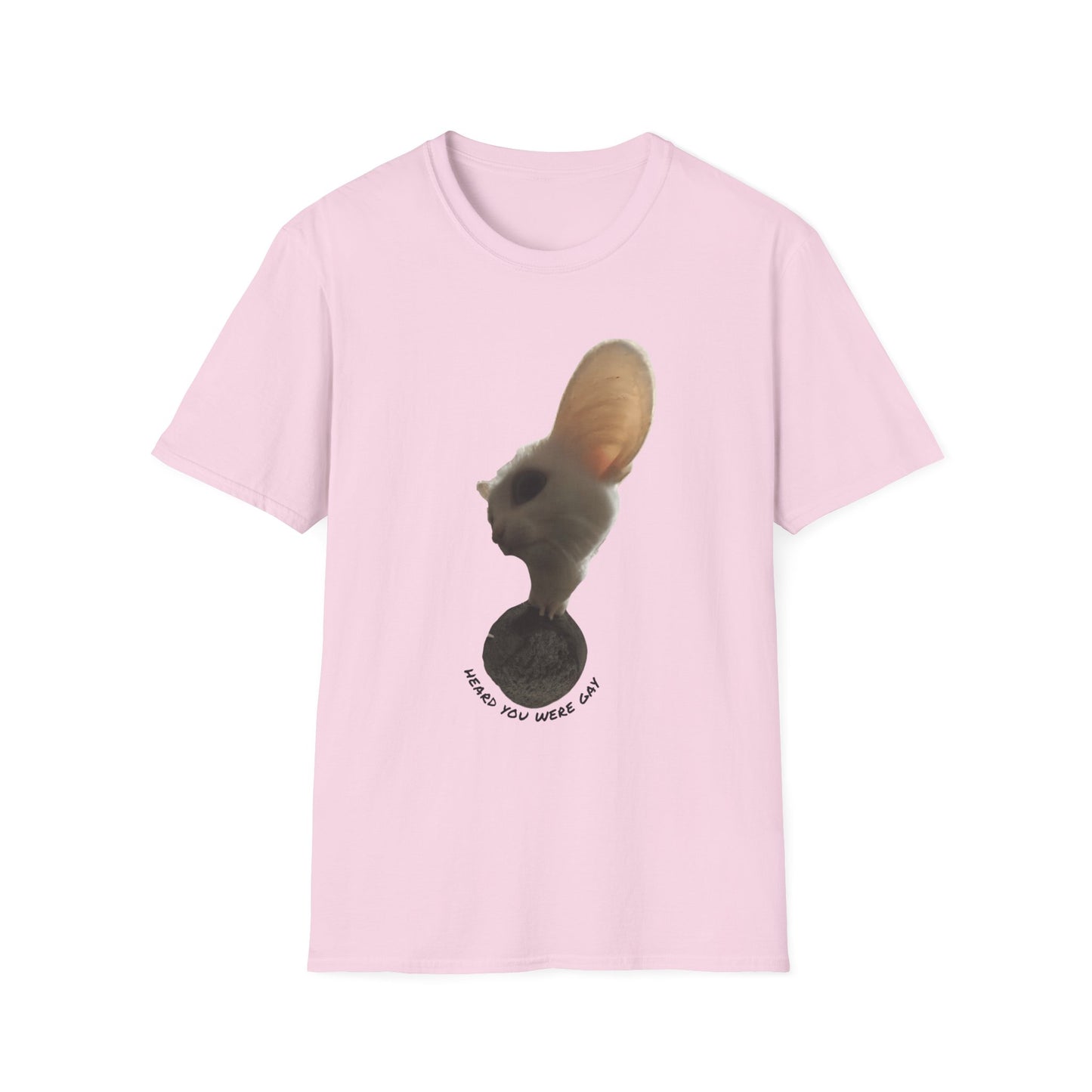 Heard you were 🏳️‍🌈- Cute Feline Graphic Unisex Softstyle T-Shirt – Perfect for Cat Lovers