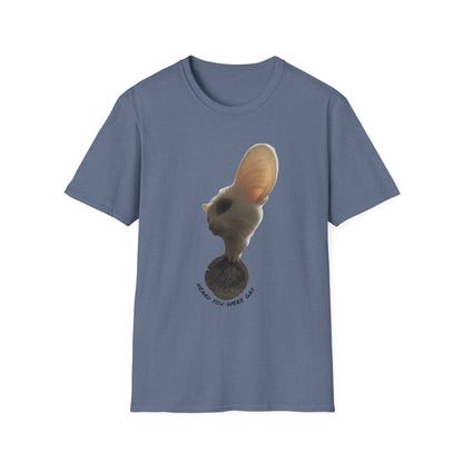 Heard you were 🏳️‍🌈- Cute Feline Graphic Unisex Softstyle T-Shirt – Perfect for Cat Lovers