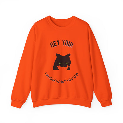 Funny Cat Crewneck Sweatshirt - 'Hey You! I Know What You Did'