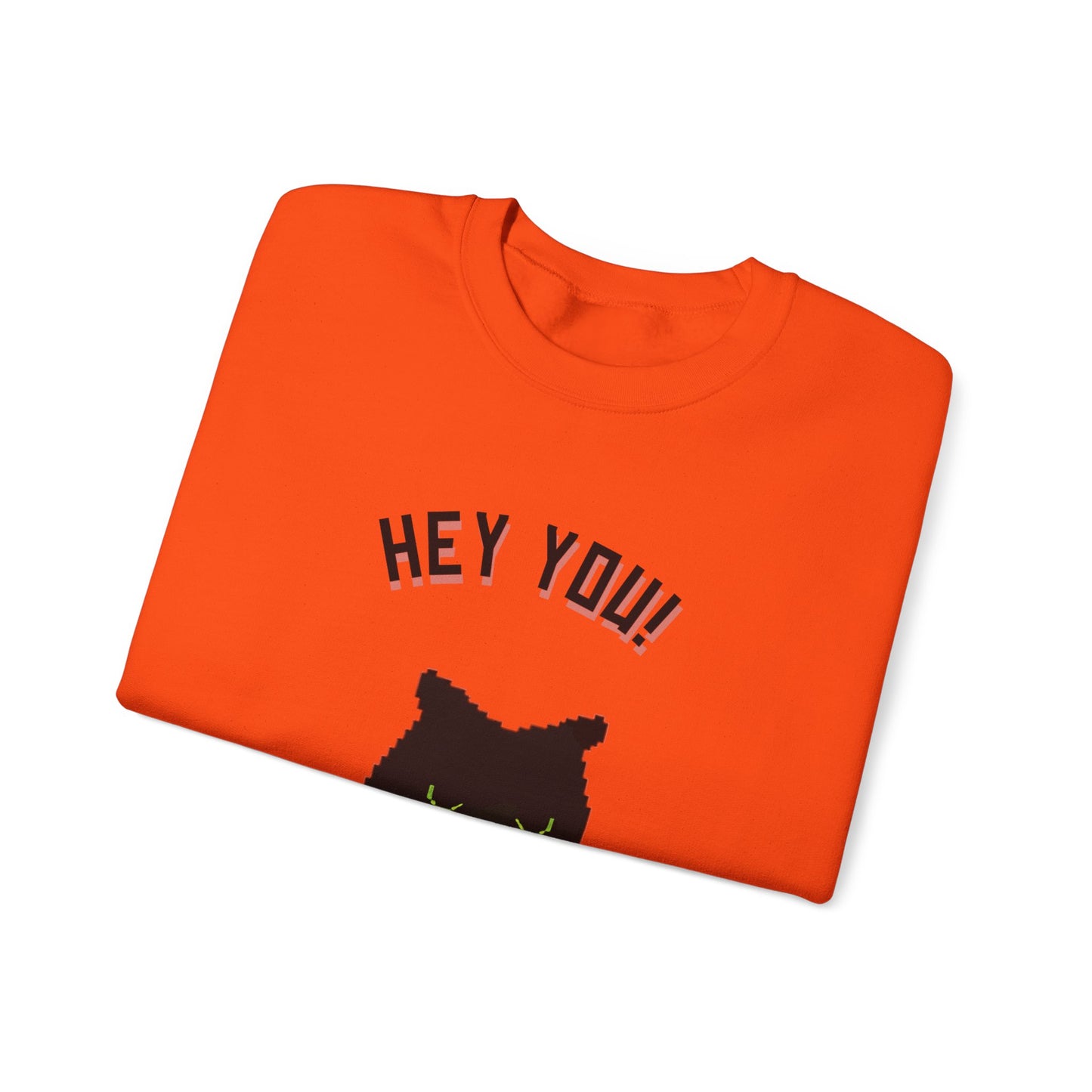 Funny Cat Crewneck Sweatshirt - 'Hey You! I Know What You Did'