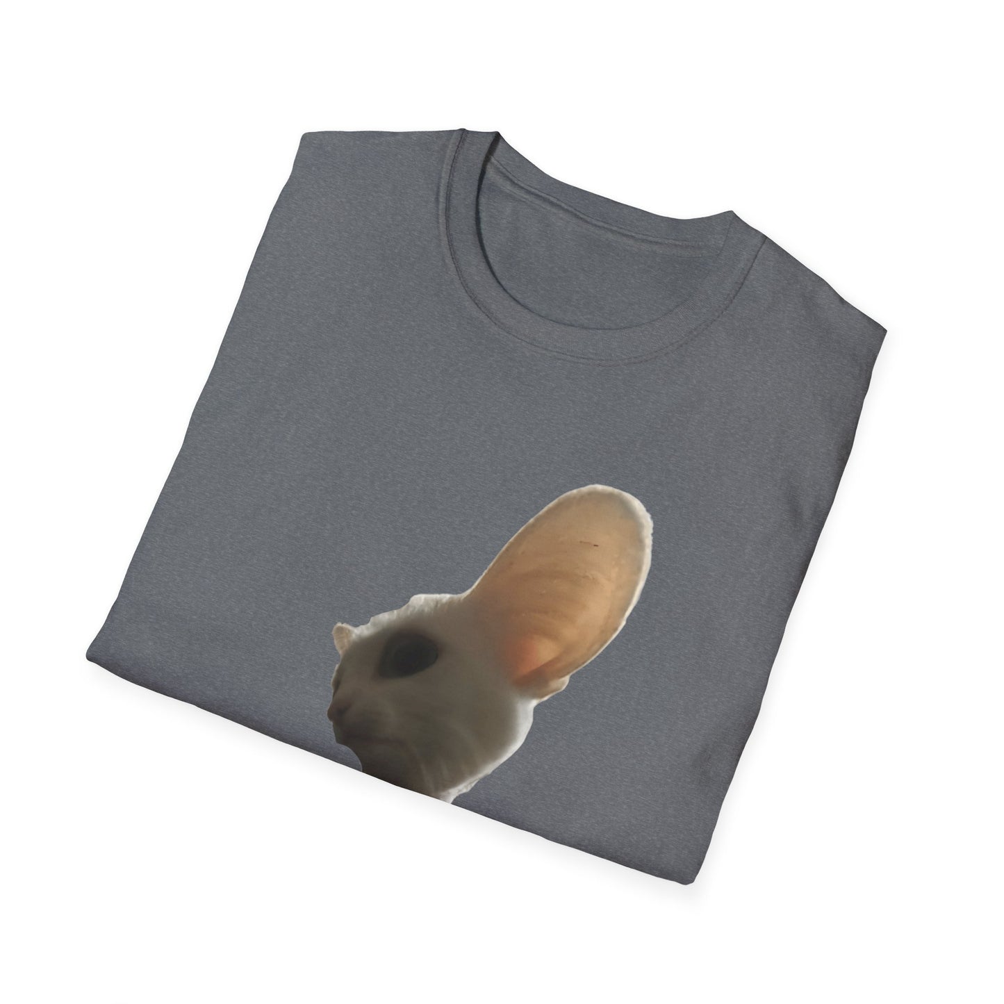 Heard you were 🏳️‍🌈- Cute Feline Graphic Unisex Softstyle T-Shirt – Perfect for Cat Lovers