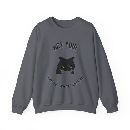 Funny Cat Crewneck Sweatshirt - 'Hey You! I Know What You Did'