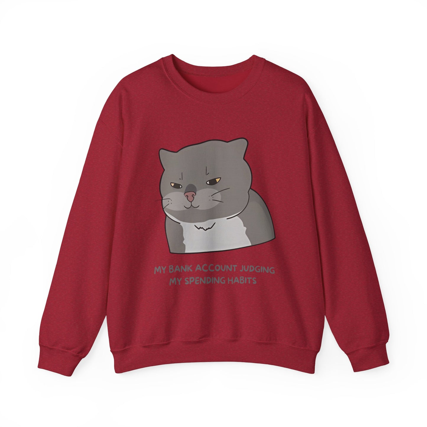 Funny Cat Motivational Crewneck Sweatshirt - My Bank Account Judging My Spending Habits