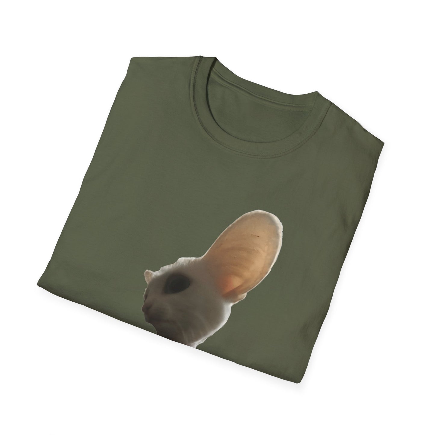 Heard you were 🏳️‍🌈- Cute Feline Graphic Unisex Softstyle T-Shirt – Perfect for Cat Lovers