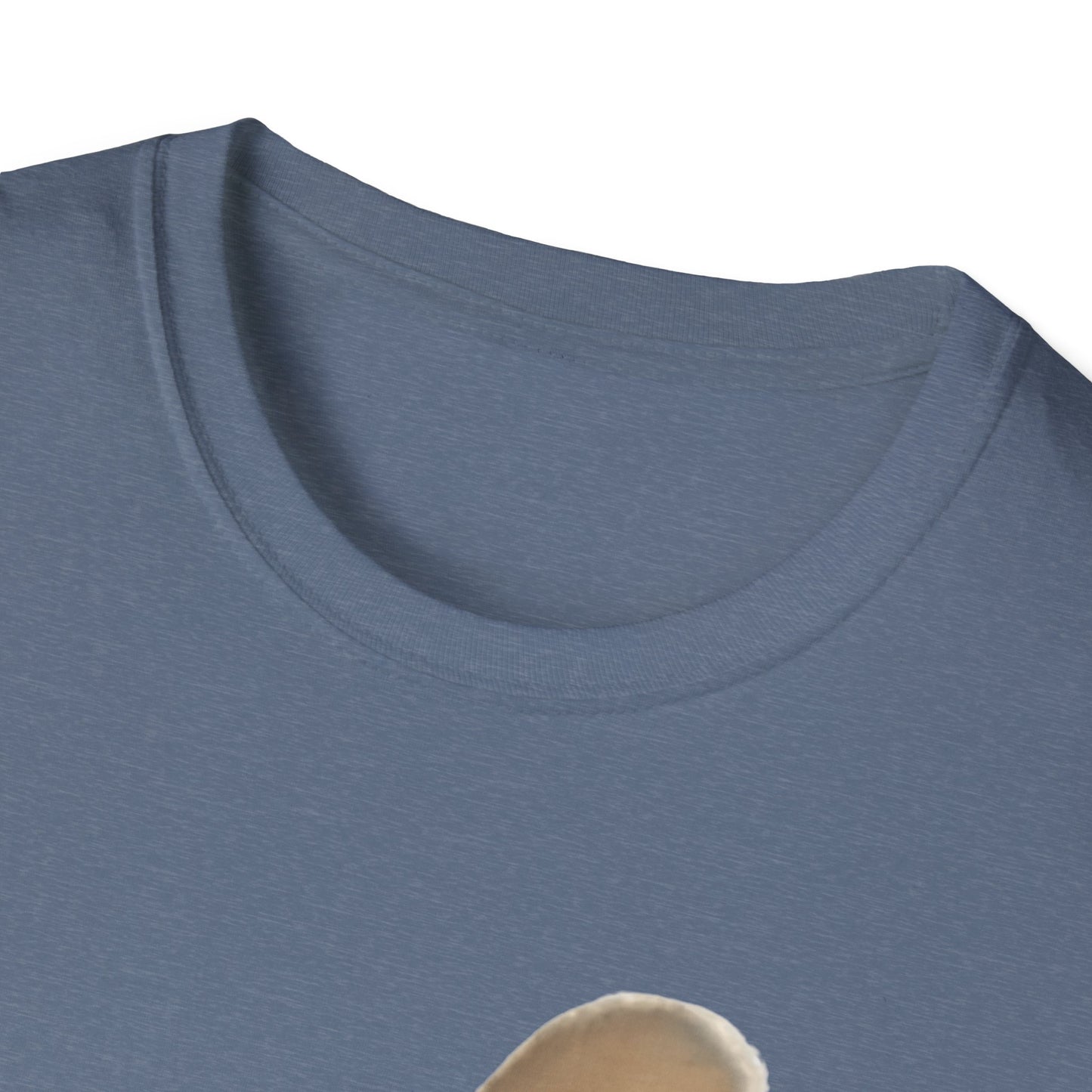 Heard you were 🏳️‍🌈- Cute Feline Graphic Unisex Softstyle T-Shirt – Perfect for Cat Lovers