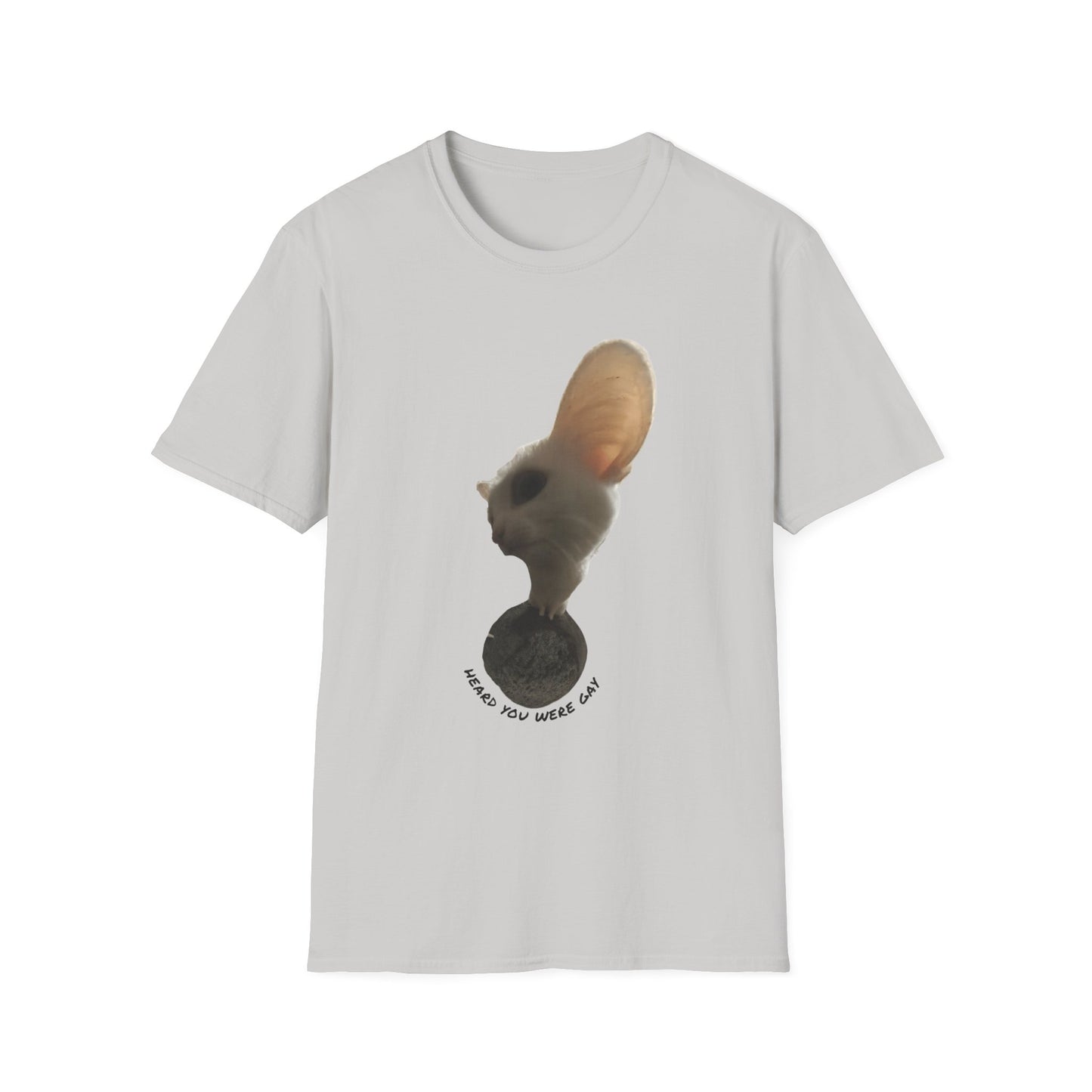 Heard you were 🏳️‍🌈- Cute Feline Graphic Unisex Softstyle T-Shirt – Perfect for Cat Lovers